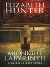 Cover image for Midnight Labyrinth